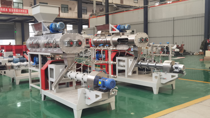 locally made Sturgeon twin screw extruder machine in South Korea